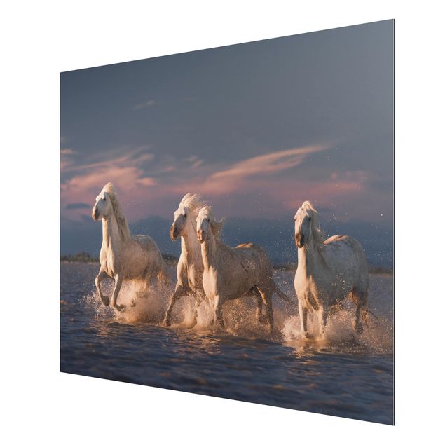 Print on aluminium - Wild Horses In Kamargue