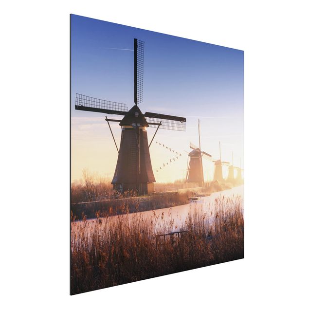 Dibond Windmills Of Kinderdijk