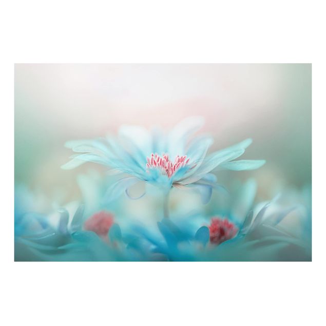 Print on aluminium - Delicate Flowers In Pastel
