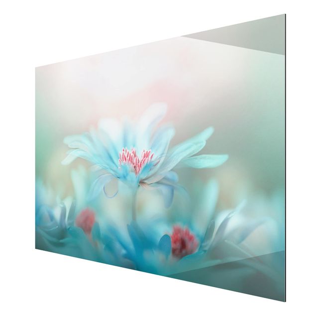 Print on aluminium - Delicate Flowers In Pastel