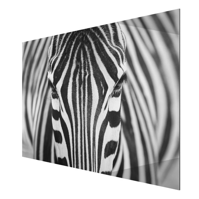 Print on aluminium - Zebra Look