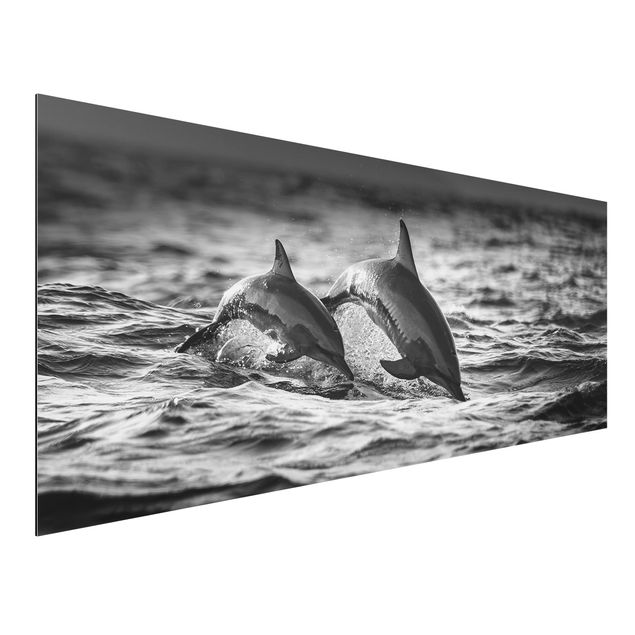 Alu dibond Two Jumping Dolphins