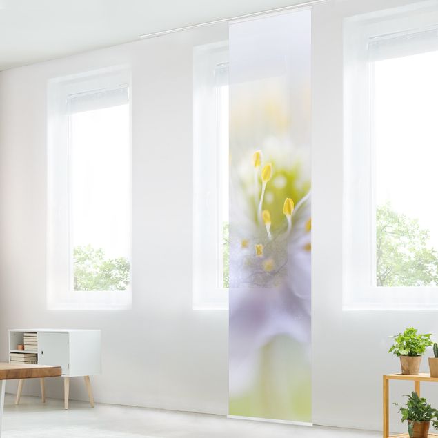 Sliding panel curtains set - Anemone Beauty