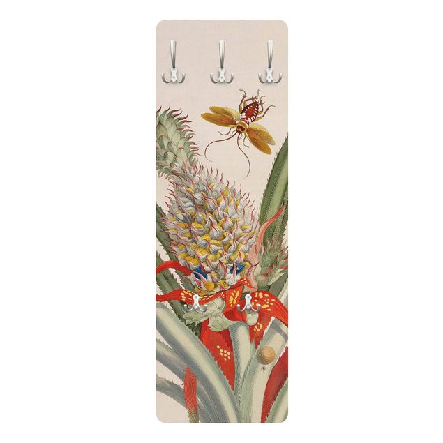 Coat rack - Anna Maria Sibylla Merian - Pineapple With Insects