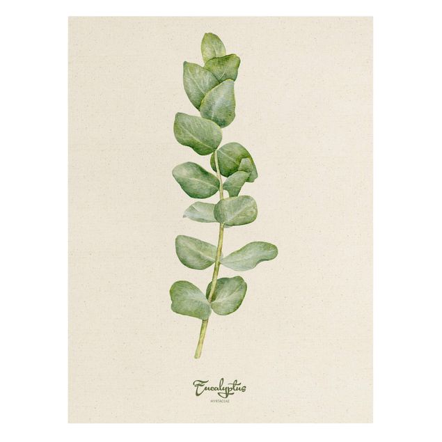 Canvas print gold - Watercolour Botany Eucalyptus