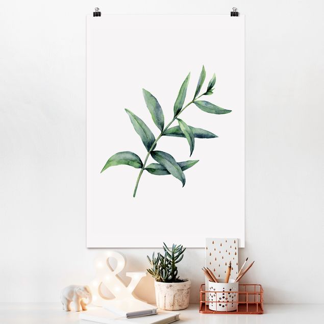 Poster - Waterclolour Eucalyptus l