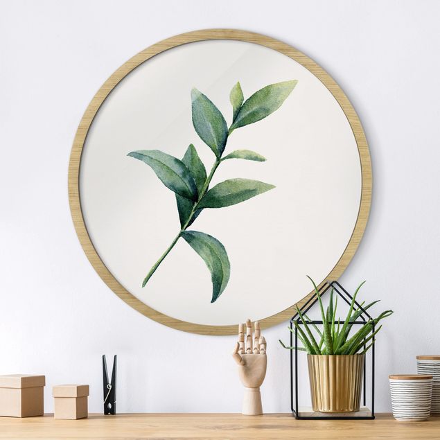 Framed prints round Waterclolour Eucalyptus ll