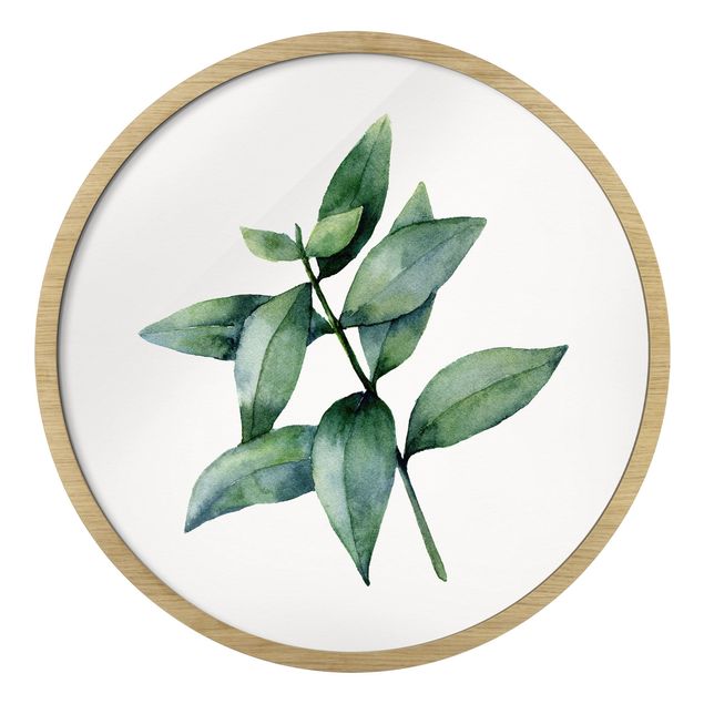 Circular framed print - Waterclolour Eucalyptus lll