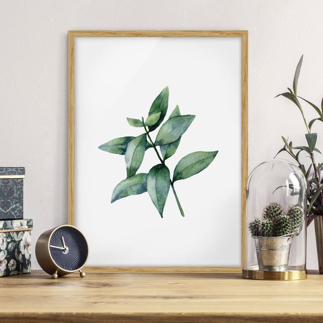 Framed poster - Waterclolour Eucalyptus lll
