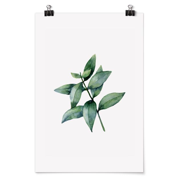 Poster - Waterclolour Eucalyptus lll