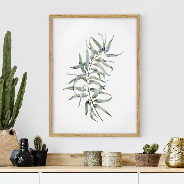 Framed poster - Waterclolour Eucalyptus lV