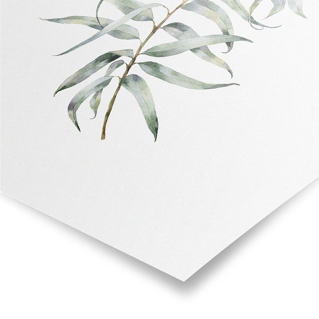 Poster - Waterclolour Eucalyptus lV