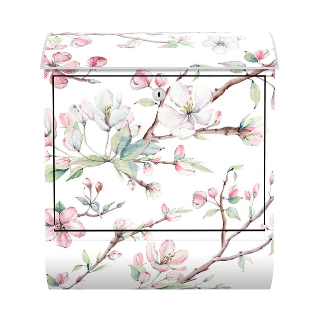 Letterbox - Watercolour Branches Of Apple Blossom In Light Pink And White