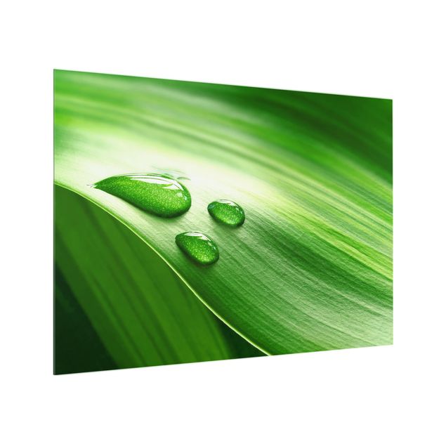 Glass Splashback - Banana Leaf With Drops - Landscape 3:4