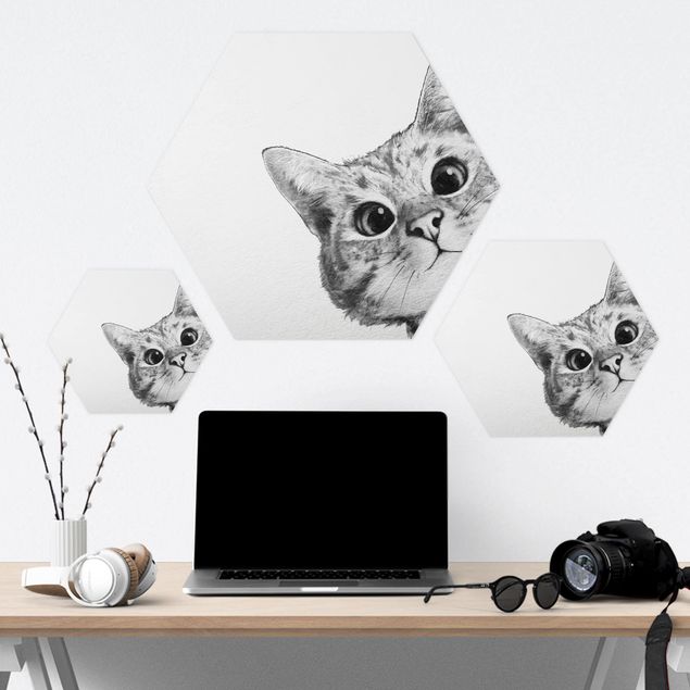 Forex hexagon - Illustration Cat Drawing Black And White