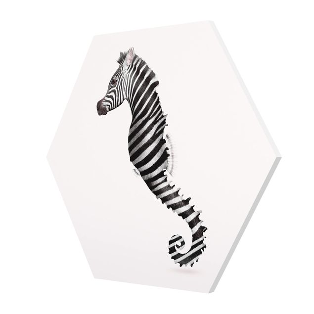 Forex hexagon - Seahorse With Zebra Stripes