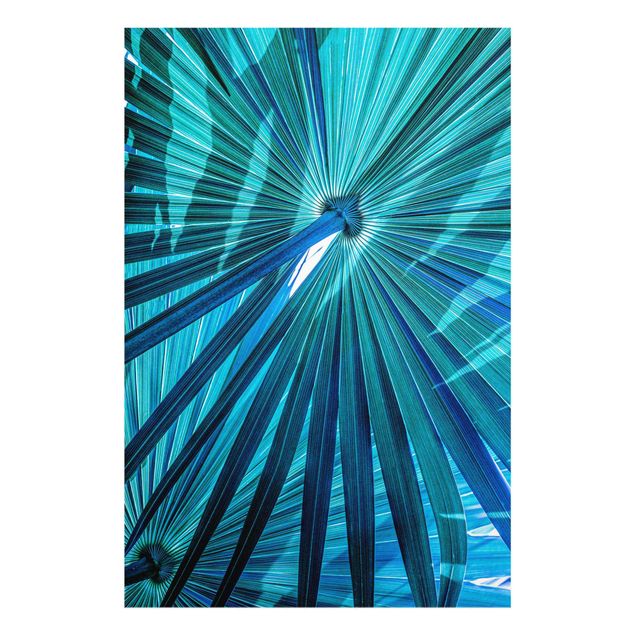 Glass print - Tropical Plants Palm Leaf In Turquoise