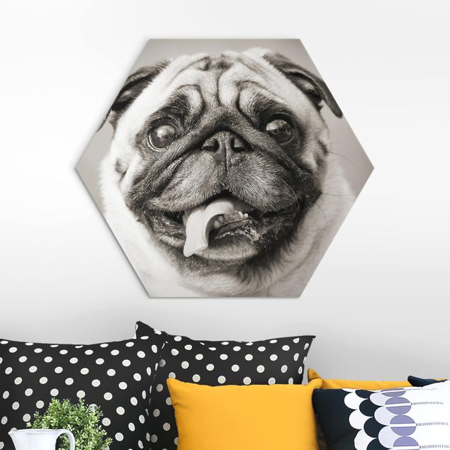 Alu-Dibond hexagon - Funny Pug