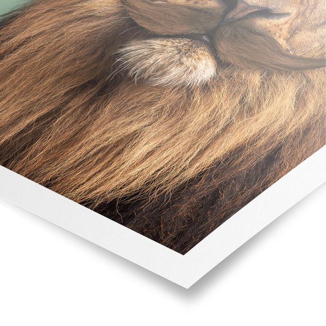 Poster animals - Lion With Beard