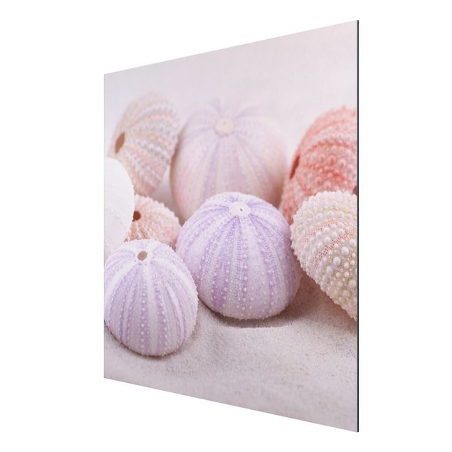 Print on aluminium - Sea Urchin In Pastel