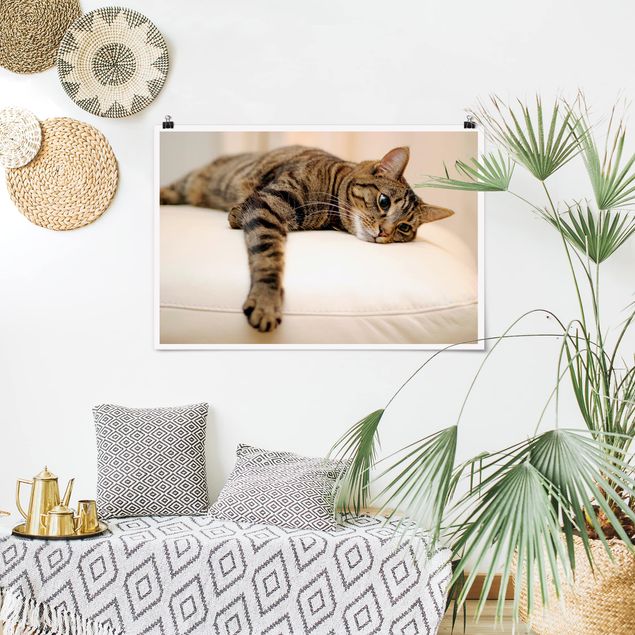 Poster - Cat Chill Out