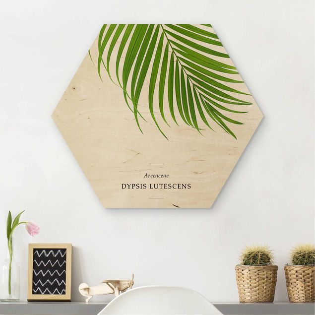 Wooden hexagon - Tropical Leaf Areca Palm