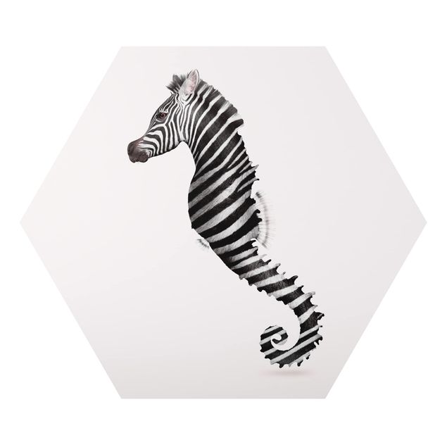 Alu-Dibond hexagon - Seahorse With Zebra Stripes