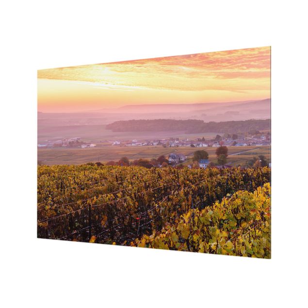 Glass Splashback - Wine Plantations At Sunset - Landscape format 4:3
