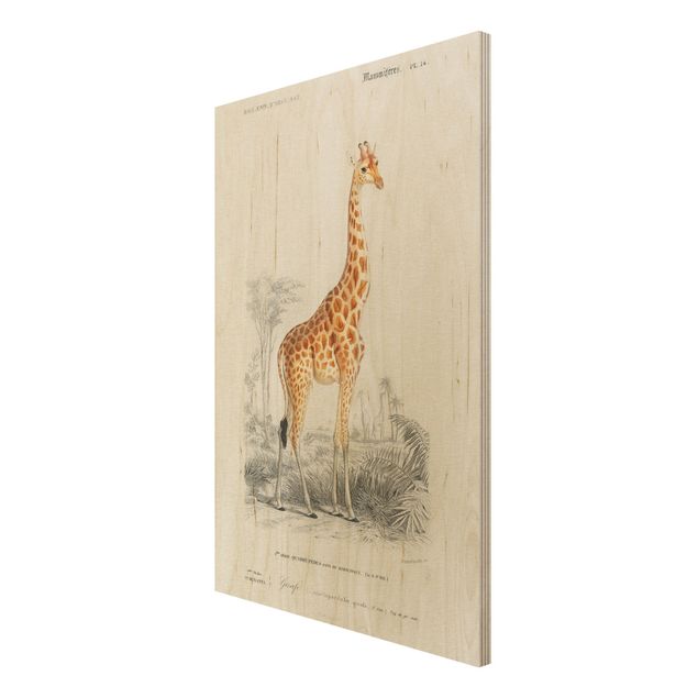 Print on wood - Vintage Board Giraffe