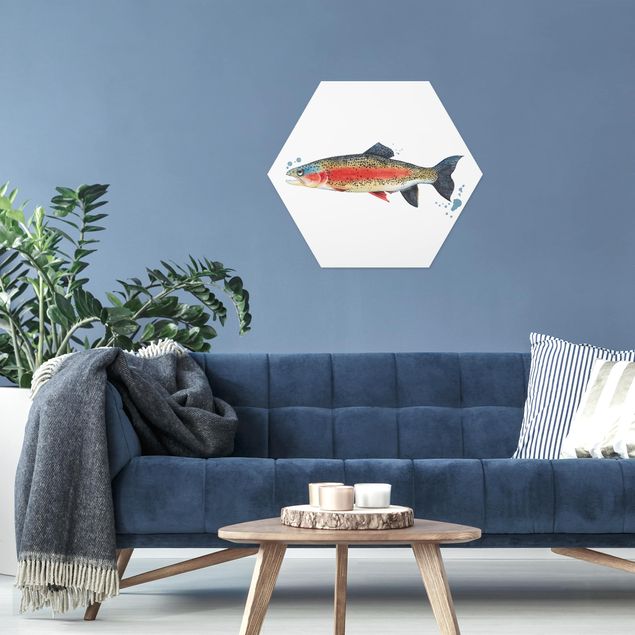Forex hexagon - Color Catch - Trout