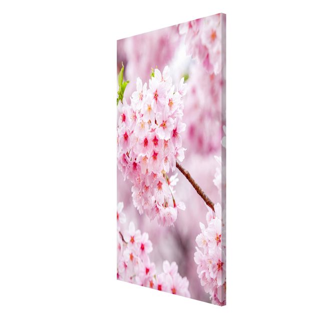 Magnetic memo board - Japanese Cherry Blossoms