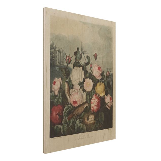 Print on wood - Botany Vintage Illustration Of Roses