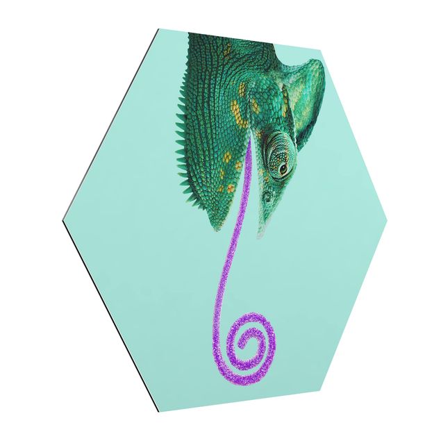 Alu-Dibond hexagon - Chameleon With Sugary Tongue
