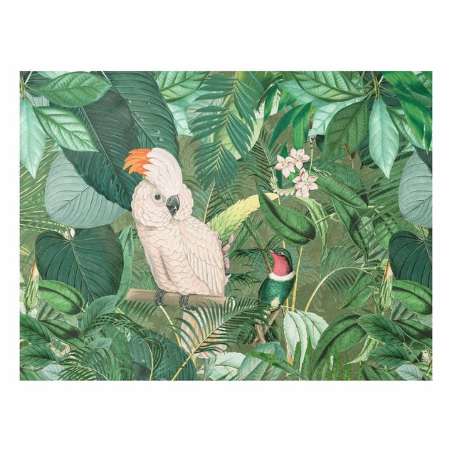 Print on forex - Vintage Collage - Kakadu And Hummingbird