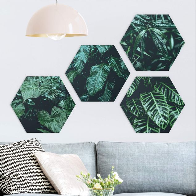 Forex hexagon - Tropical Plants
