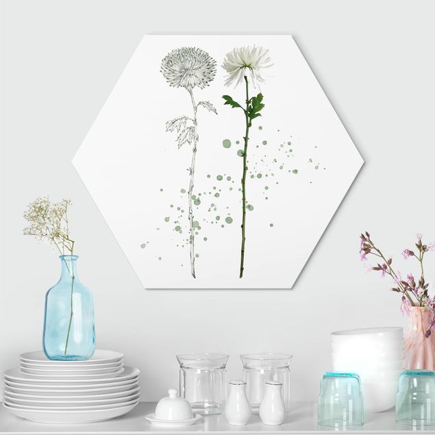 Alu-Dibond hexagon - Botanical Watercolour - Dandelion