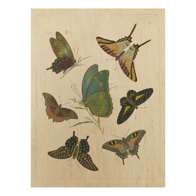 Print on wood - Vintage Illustration Exotic Butterflies