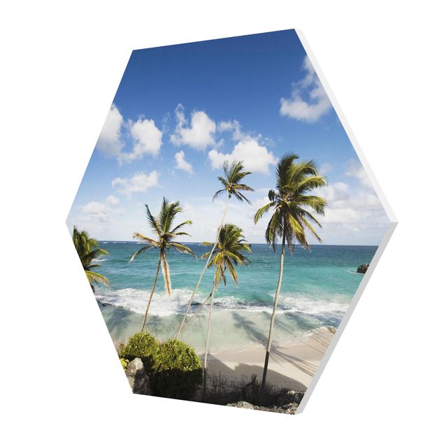 Forex hexagon - Beach Of Barbados