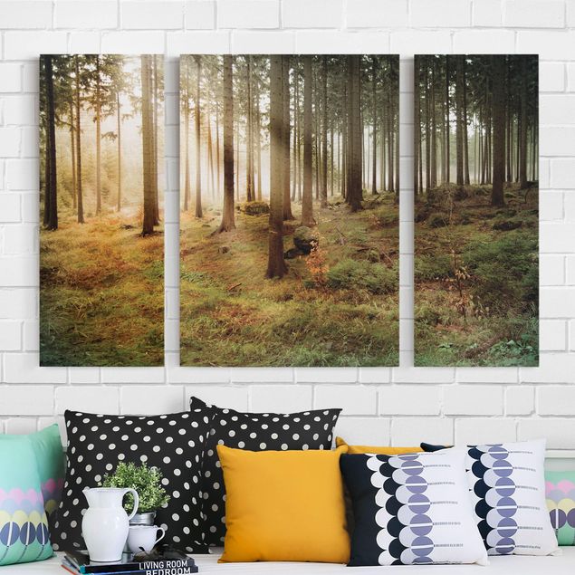 Print on canvas 3 parts - No.CA48 Morning forest