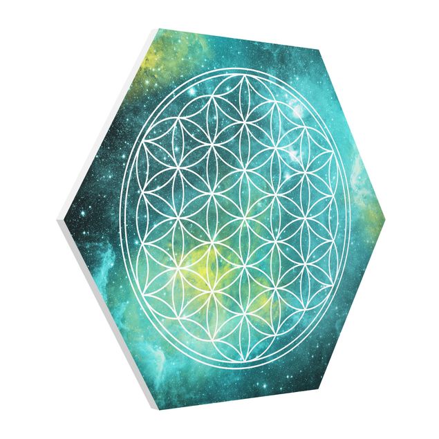 Forex hexagon - Flower Of Life In Starlight