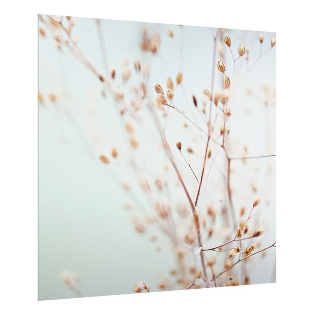 Splashback - Pastel Buds On Wild Flower Twig - Square 1:1