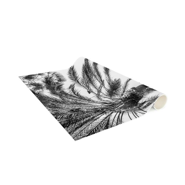 jungle theme rug Palm Trees At Sunset Black And White