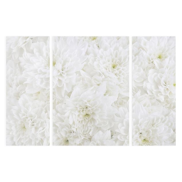 Print on canvas 3 parts - Dahlias Sea Of Flowers White