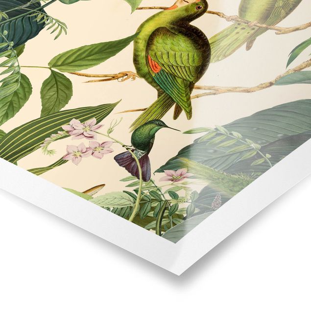 Poster - Vintage Collage - Parrots In The Jungle