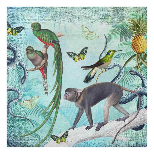 Glass splashbacks Colonial Style Collage - Monkeys And Birds Of Paradise