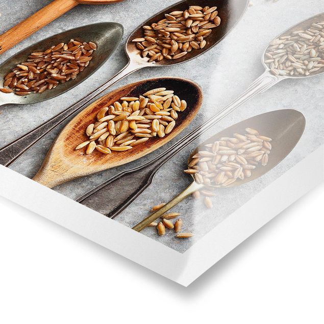 Poster - Cereal Grains Spoon
