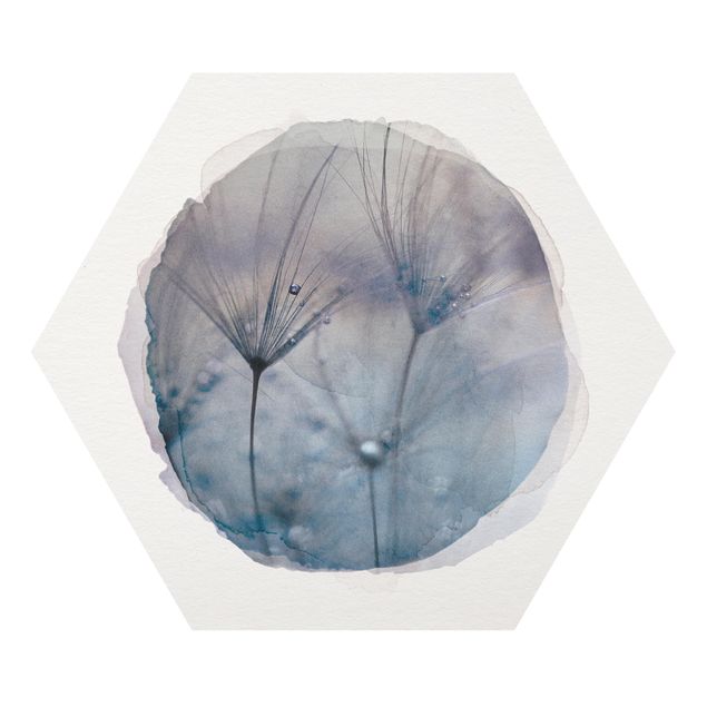 Forex hexagon - Water Colours - Blue Feathers In The Rain