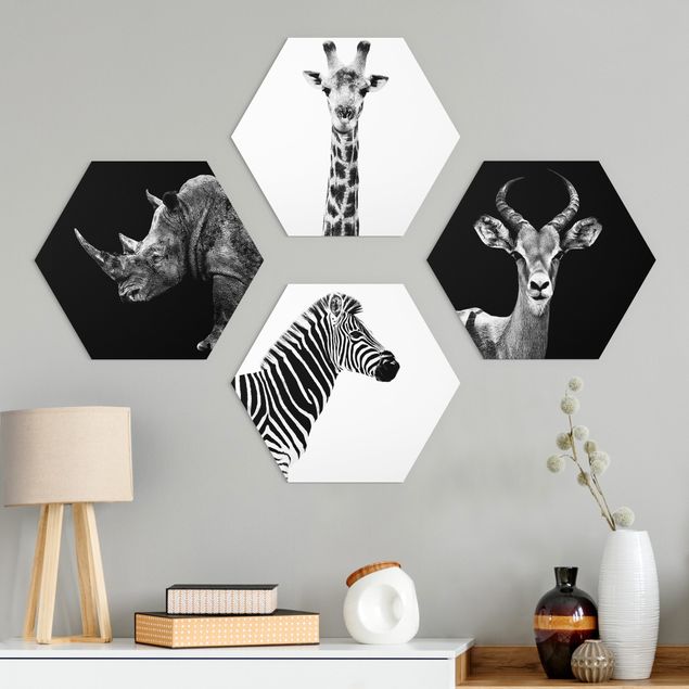 Alu-Dibond hexagon - Safari Quartet