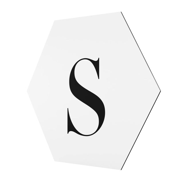 Alu-Dibond hexagon - Letter Serif White S