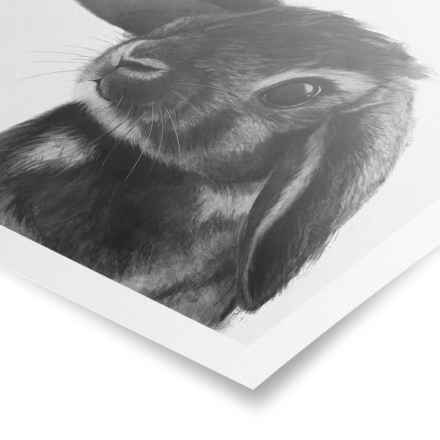 Poster - Illustration Rabbit Black And White Drawing